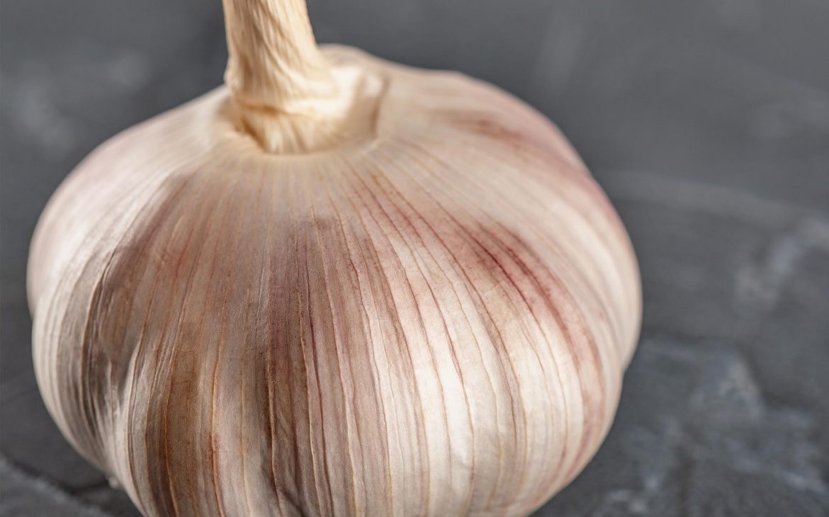 voice memos: # 126 — garlic