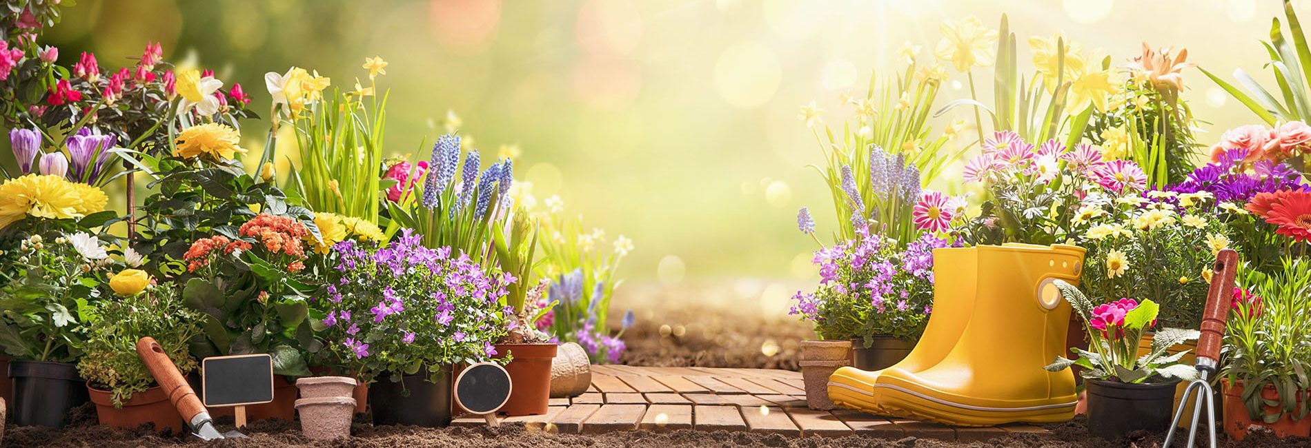 garden madness | almost