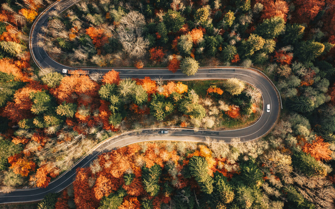 the road much traveled:
